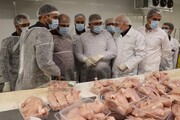 احتمال صادرات گوشت قرمز از نیمه دوم امسال/۶۵۰۰ تن گوشت مرغ صادر شد
