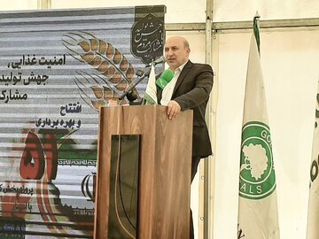 معاون وزیر جهاد کشاورزی: ایران صادرکننده کالاهای اساسی است