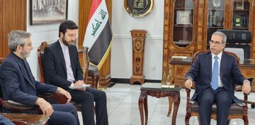 باقری با رئیس شورای عالی قضایی عراق دیدار کرد