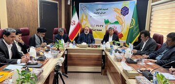 استاندار سیستان و بلوچستان: امنیت غذایی با جهش تولید در کشاورزی پایدار خواهد ماند