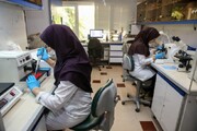 هفت دانشگاه و مرکز پژوهشی اصفهان در بین موسسه‌های پراستناد برتر دنیا