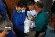 خواستار تحقیقات درباره شهادت پزشکان و کادر درمان در غزه هستیم