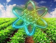 راه‌اندازی سومین سامانه پرتودهی هسته‌ای محصولات کشاورزی در دولت سیزدهم