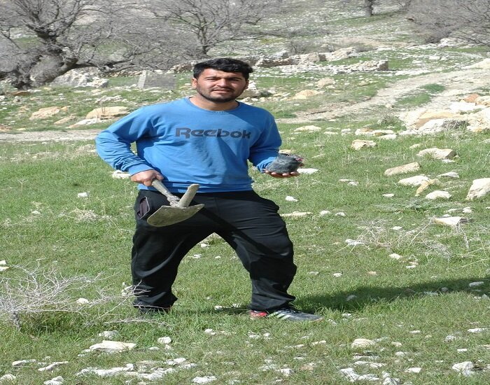 حفاظت از جنگل های بلوط زاگرس به سبک بنیادهای "اَلگن" و "زاگرس"