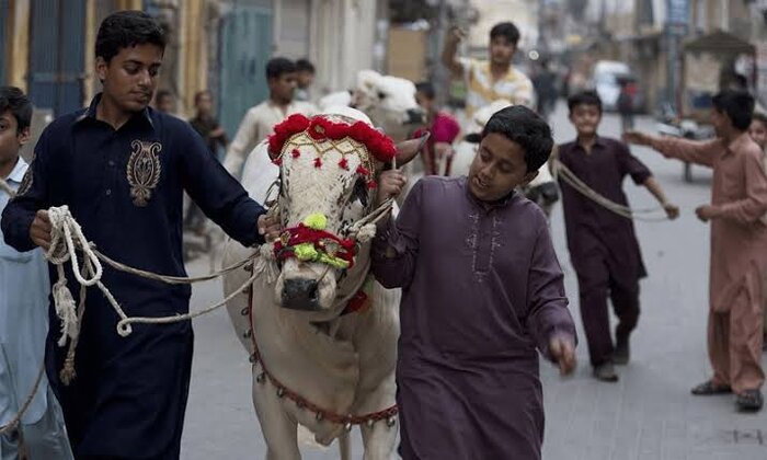 تعطیلات عید قربان در پاکستان و آداب و رسوم «عید بزرگ»