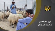 فیلم| بازار دام زاهدان در آستانه عید قربان