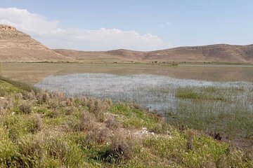 یک تالاب دیگر در آذربایجان‌غربی احیا شد/ «درگه لطف الله» نقده بعد از ۲۵ سال