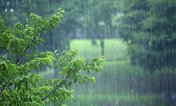 فیلم/ بارش باران در مهریز یزد