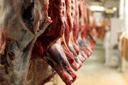 توزیع گوشت قرمز گرم طرح تنظیم بازار در اراک آغاز شد