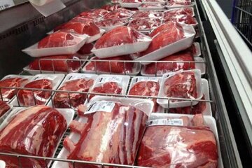 قیمت گوشت قرمز در مشهد نزولی شد