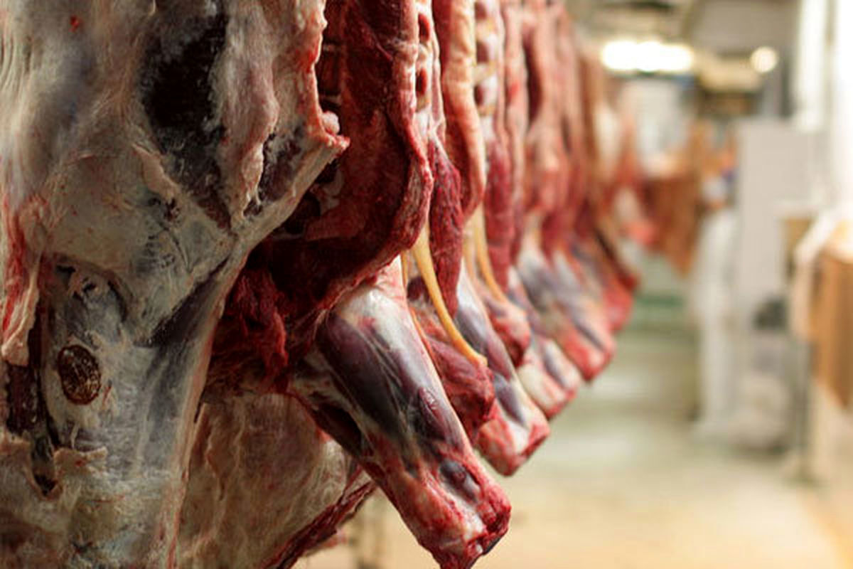 توزیع گوشت قرمز گرم طرح تنظیم بازار در اراک آغاز شد
