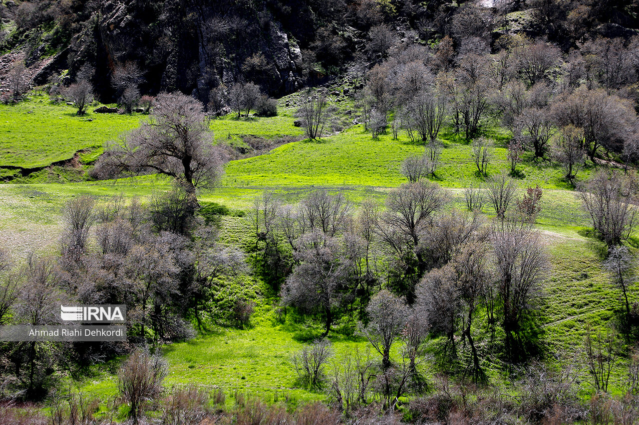 دره عشق؛ جاذبه‌ای دیدنی در چهارمحال و بختیاری