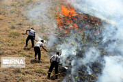 فیلم| آتش‌سوزی در مراتع و جنگل های بلوط ارتفاعات شهر ایلام مهار شد