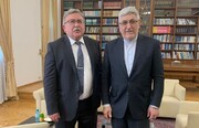 Iran, Russia envoys discuss IAEA-related issues