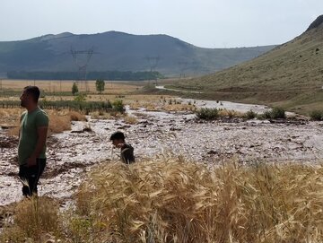سیل به تعدادی از روستاهای کجور مازندران خسارت زد
