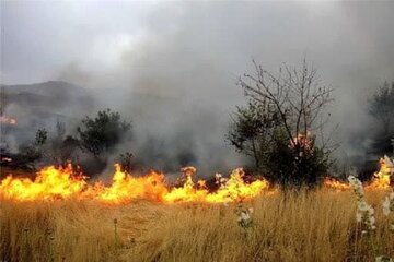 شهروندان اردبیلی مراقب آتش‌سوزی اراضی ملی باشند