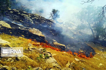 چهار عامل آتش سوزی عمدی در جنگل های لرستان شناسایی شدند