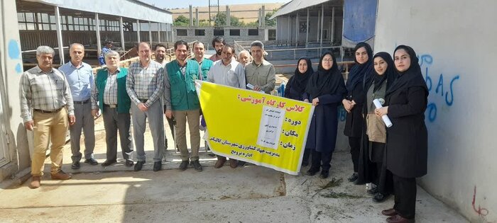 استفاده از گیاهان کم آببر، راهکار تغذیه دام در روزهای خشکسالی