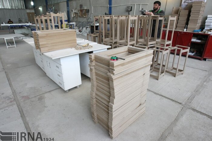 اشتغال و معیشت دو چالش دختران مجرد/حمایت از نوهمسران دهه شصتی درمناطق محروم