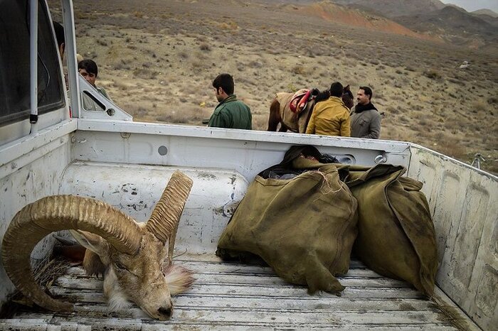 دستگیری ۲۰ متخلف شکار و صید در مازندران