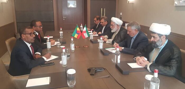 رئیس دیوانعالی کشور: بریکس مانع از ادامه جنایات رژیم صهیونیستی شود