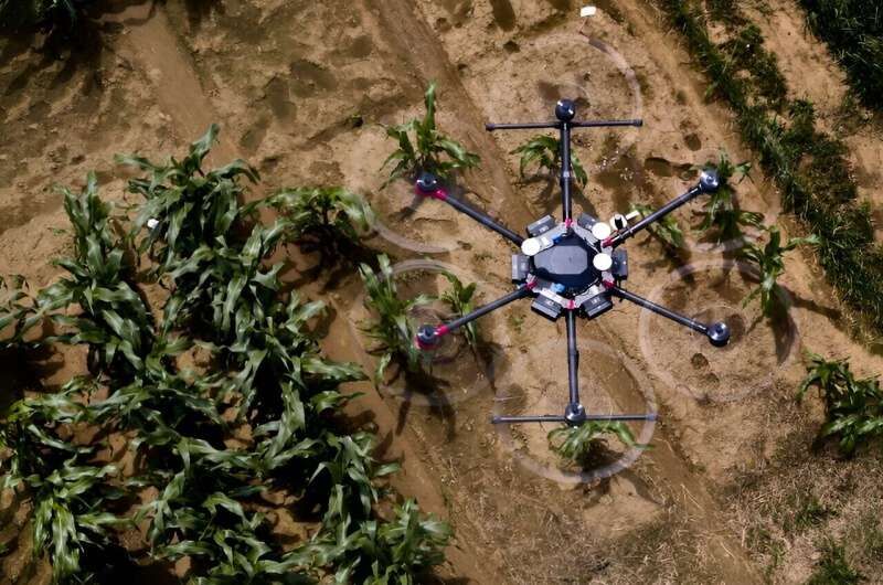 هوش مصنوعی به کمک کشاورزان می‌آید/ شبیه‌سازی کشت و زرع در اراضی کشاورزی