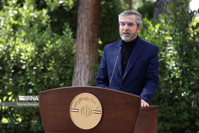 El ministro interino de Asuntos Exteriores de Irán elogia el arte diplomático del mártir Amir Abdolahian