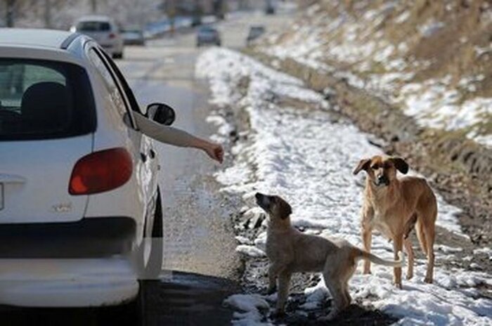 هر موجودی که غذا در اختیارش نباشد، جمعیتش کنترل میشود