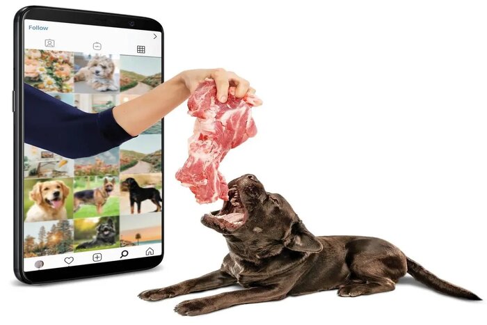 هر موجودی که غذا در اختیارش نباشد، جمعیتش کنترل میشود