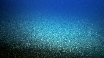 ژاپن افزون‌بر ۲۰۰ میلیون تن سنگ و فلزات کمیاب در اعماق دریا کشف کرد