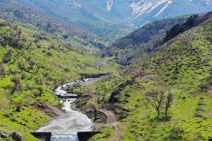 هرآنچه باید از آزادسازی اراضی ملی در چالوس بدانید