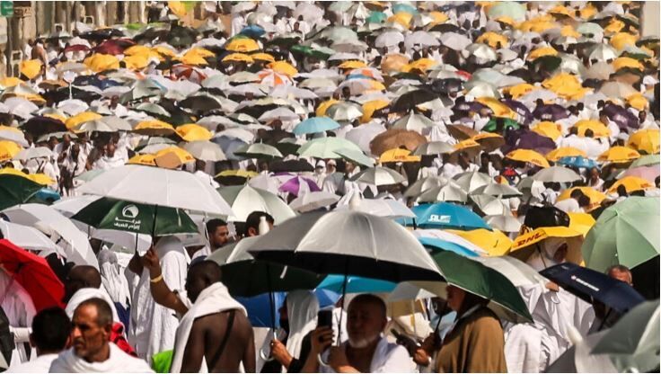Die Zahl der Todesopfer der Hajj-Zeremonie erreicht 980 Menschen