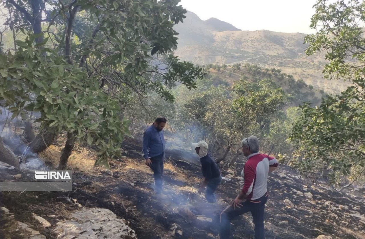 آتش‌سوزی عرصه‌های طبیعی میان تنگ بخش کارزان ایلام خاموش شد