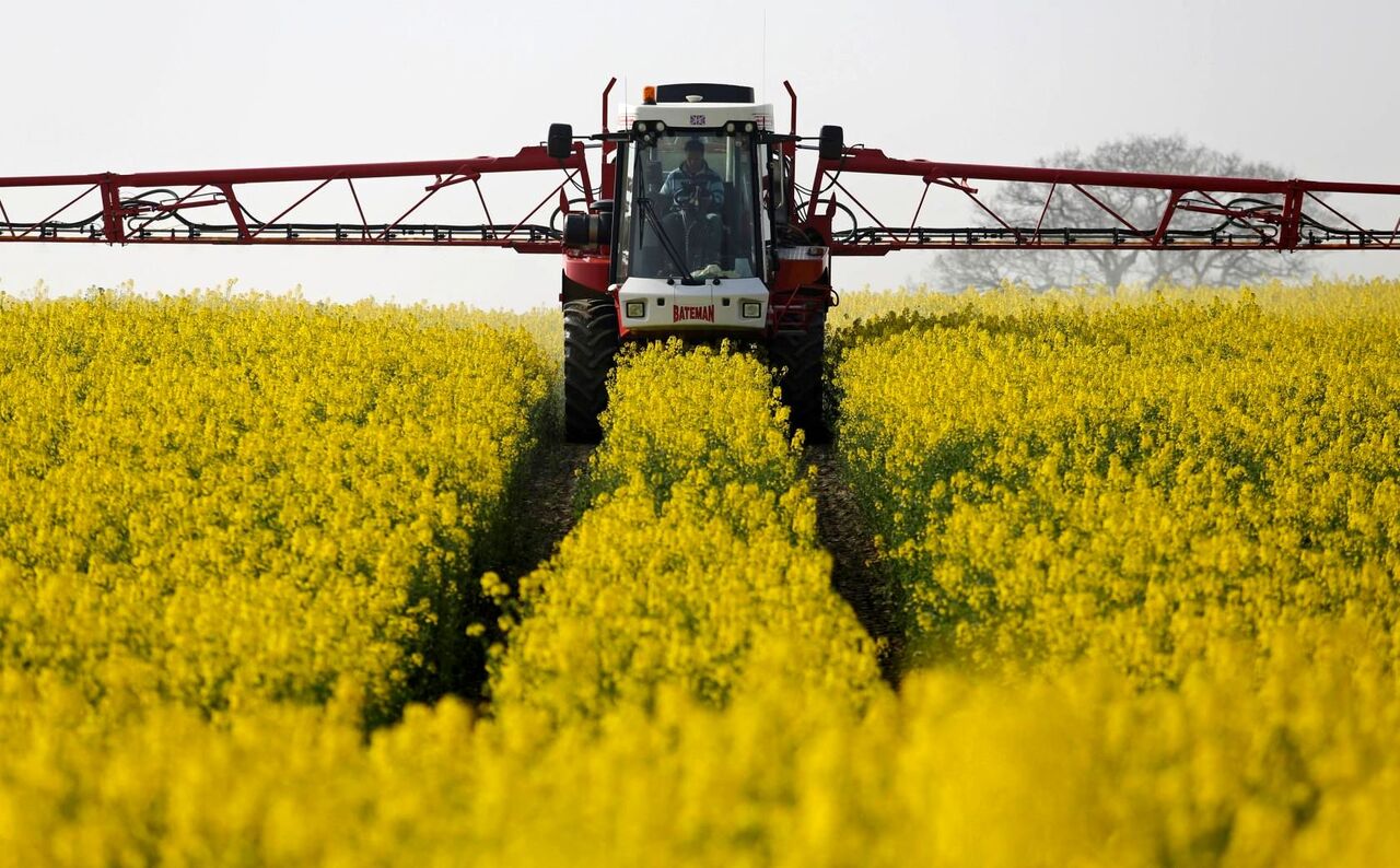 تمامی مطالبات کلزاکاران آذربایجان شرقی پرداخت شد تمامی مطالبات کلزاکاران آذربایجان شرقی پرداخت شد