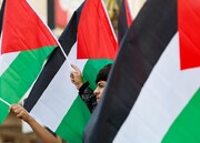 نگرانی اندیشکده آمریکایی از موج حمایت‌ها از فلسطین