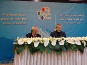 Bagheri: Gaza ist der wichtigste Teil der Erklärung des ACD-Außenministertreffens 