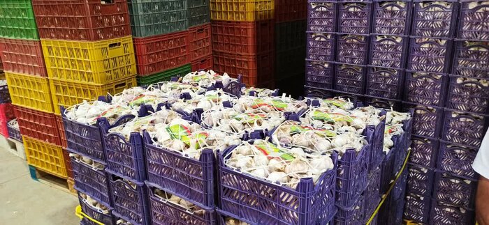 تولید محصولات کم آببر در آذربایجانشرقی رو به توسعه است