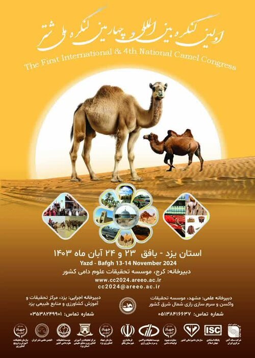 عرضه سالانه 5 هزار تن گوشت شتر/ ایران پتانسیل افزایش پرورش شتر در اراضی بیابانی را دارد.