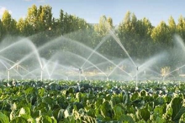 نقش تصفیه آب در کشاورزی + مزیت ها