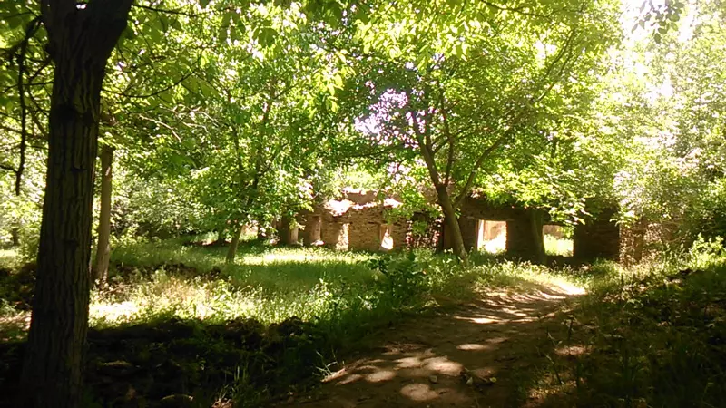 رنسانس اروپا را در روستای ورکانه همدان ببینید