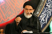 عضو خبرگان رهبری: رئیس جمهور آینده باید خط‌مشی شهید رئیسی را دنبال کند  