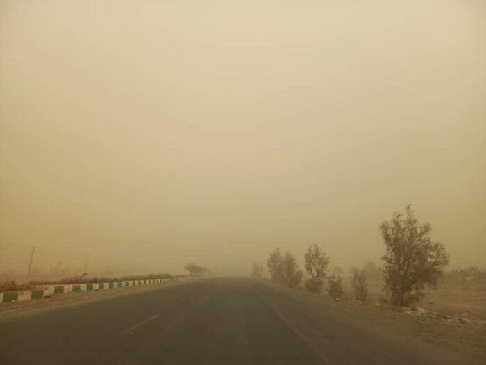 تثبیت اراضی، کلید راهگشای مهار گرد و غبار در استان بوشهر است