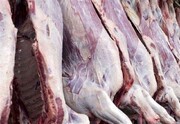 هشدار دامپزشکی کردستان: مردم از خرید و مصرف گوشت اسب خودداری کنند