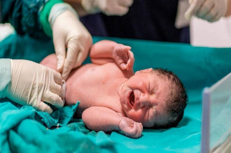 زنجان در نرخ ولادت رتبه ۱۵ کشور را دارد