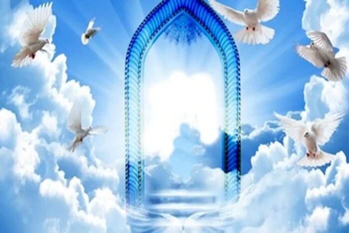 ما تنها نیستیم؛ زندگی بر بال فرشتگان