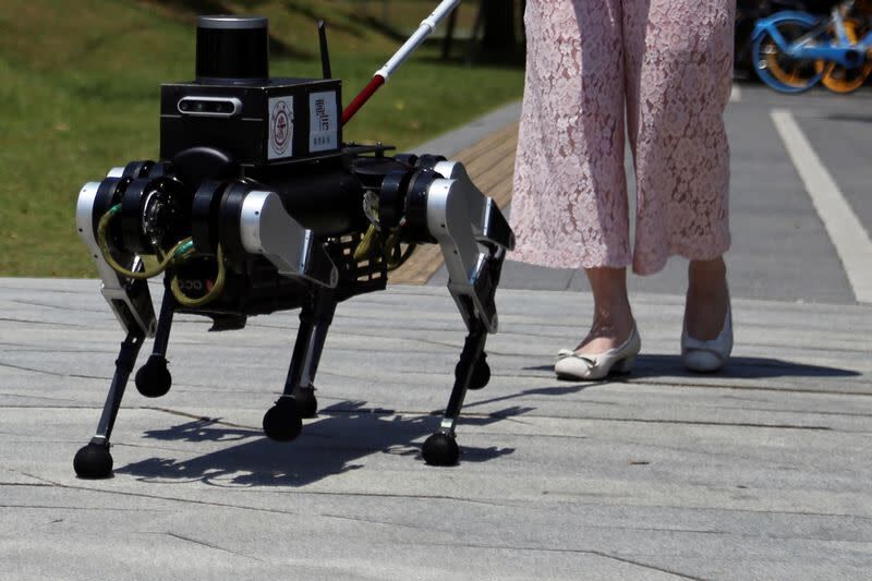 ربات سگ‌سان، راهنمای کم‌بینایان می‌شود