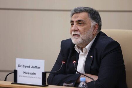 WHO envoy hails Iran’s strong healthcare system
