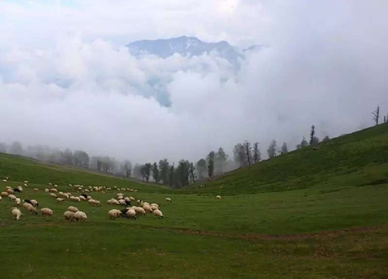 ییلاقات ماسال؛ تجربهای خارقالعاده از ایستادن روی ابرها