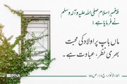 حدیث رسول (ص):  ماں باپ پر اولاد کی محبت بھری نظر، عبادت ہے