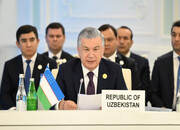 Uzbek pres. exposes West’s hypocrisy, double standard on Gaza